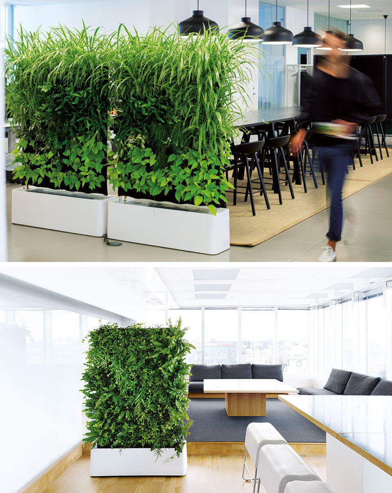 dividers creative divider office separate plant open plan spaces plants partition contemporist partitions space divide zones create living designed ceiling