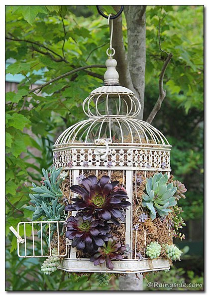 bird cage planter