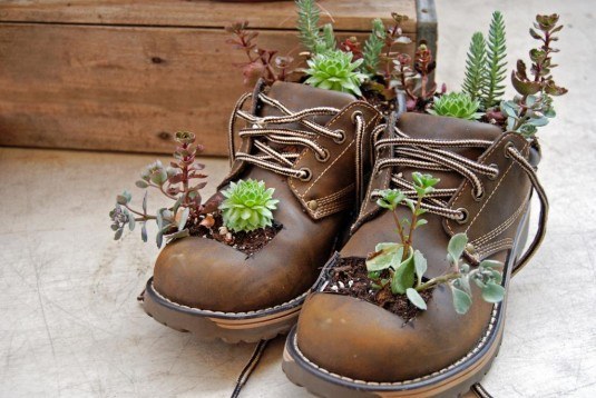 shoes-planters