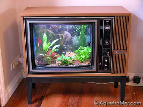 tv-aquarium