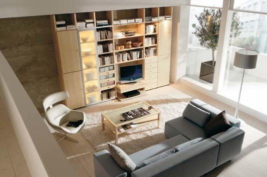 Library-home-interior-design-living-room-design