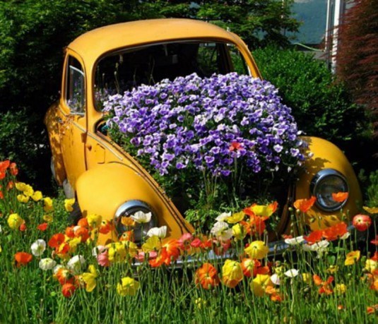 car-planter