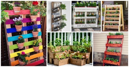 Top 10 DIY Herb Gardens That Will Impress You