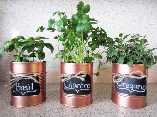 can planters