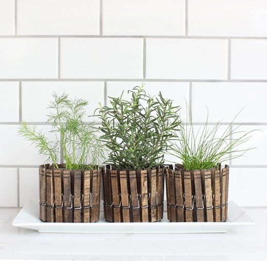 clothpins herb planters