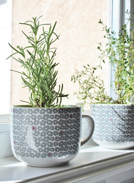 coffee mug herb planters