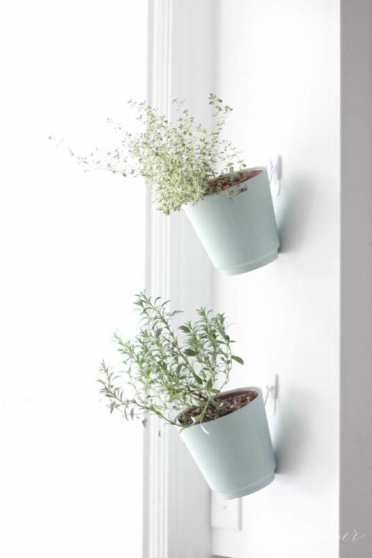 hanging herb planters
