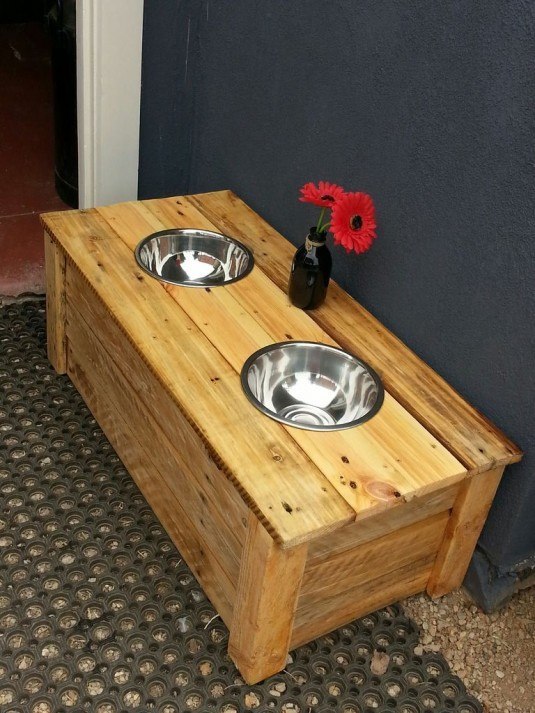 dog table