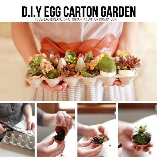 egg-carton-garden