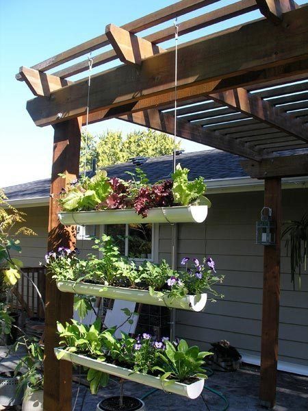 garden idea1