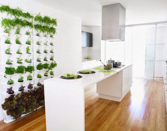 kitchen-green-wall