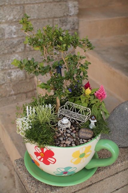 mini garden5