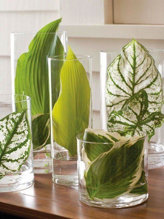 Hosta-Leaves-in-Vases