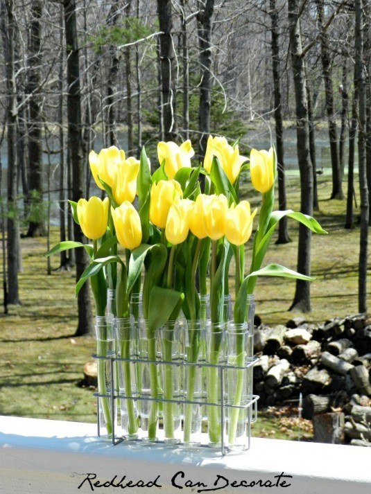 Spice-Rack-Turned-Tuip-Vase...awesome