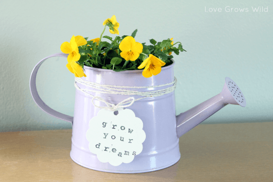 Watering_Can_Planter_by_Love_Grows_Wild_1