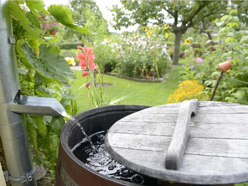 She Took a Barrel and Used It in 21 Different Ways to Beautify Her Yard