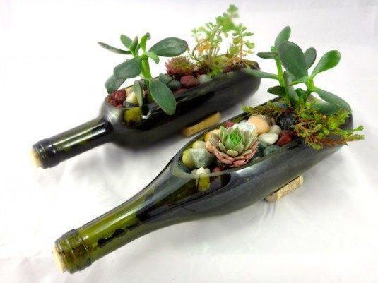 winebottle_succulentgarden_1