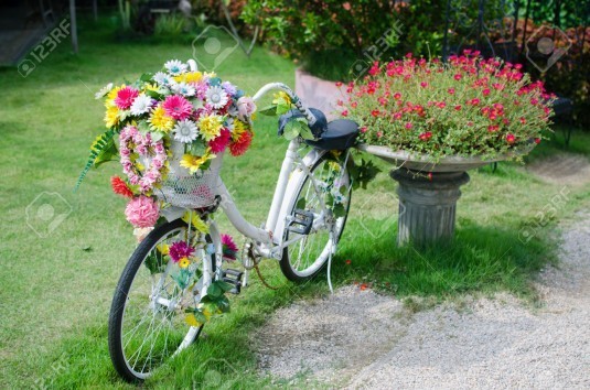 bicycle flower in garden