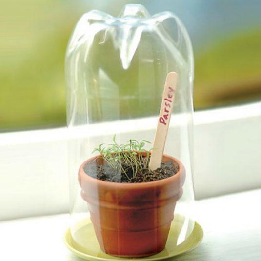 Mini-Greenhouse