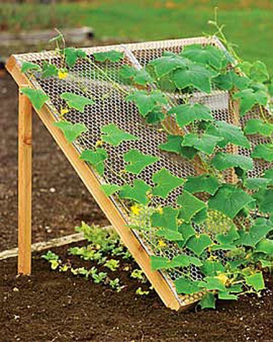 11 Smart Ways To Grow Veggies And Fruits In Your Garden