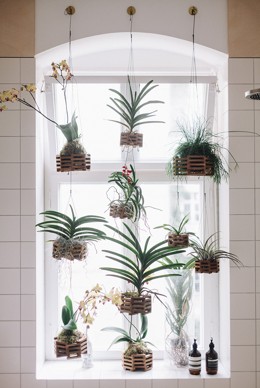 Орхидеи в горшках на подоконнике. Подвесные кашпо в квартире. Подвесные кашпо в интерьере квартиры. Комнатные растения в подвесных кашпо в интерьере. Подвесные кашпо на окне.