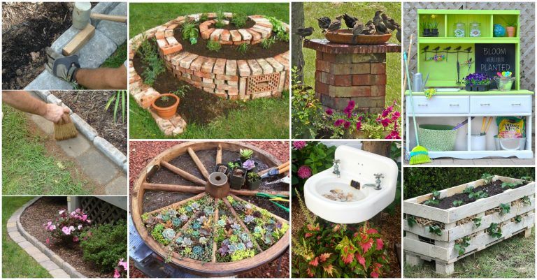 10 Fascinating DIY Garden Ideas You Need to Try This Summer