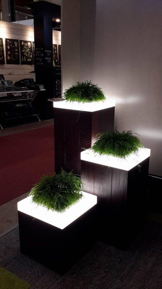 10 Illuminated Planters for Your Yard That Will Amaze You