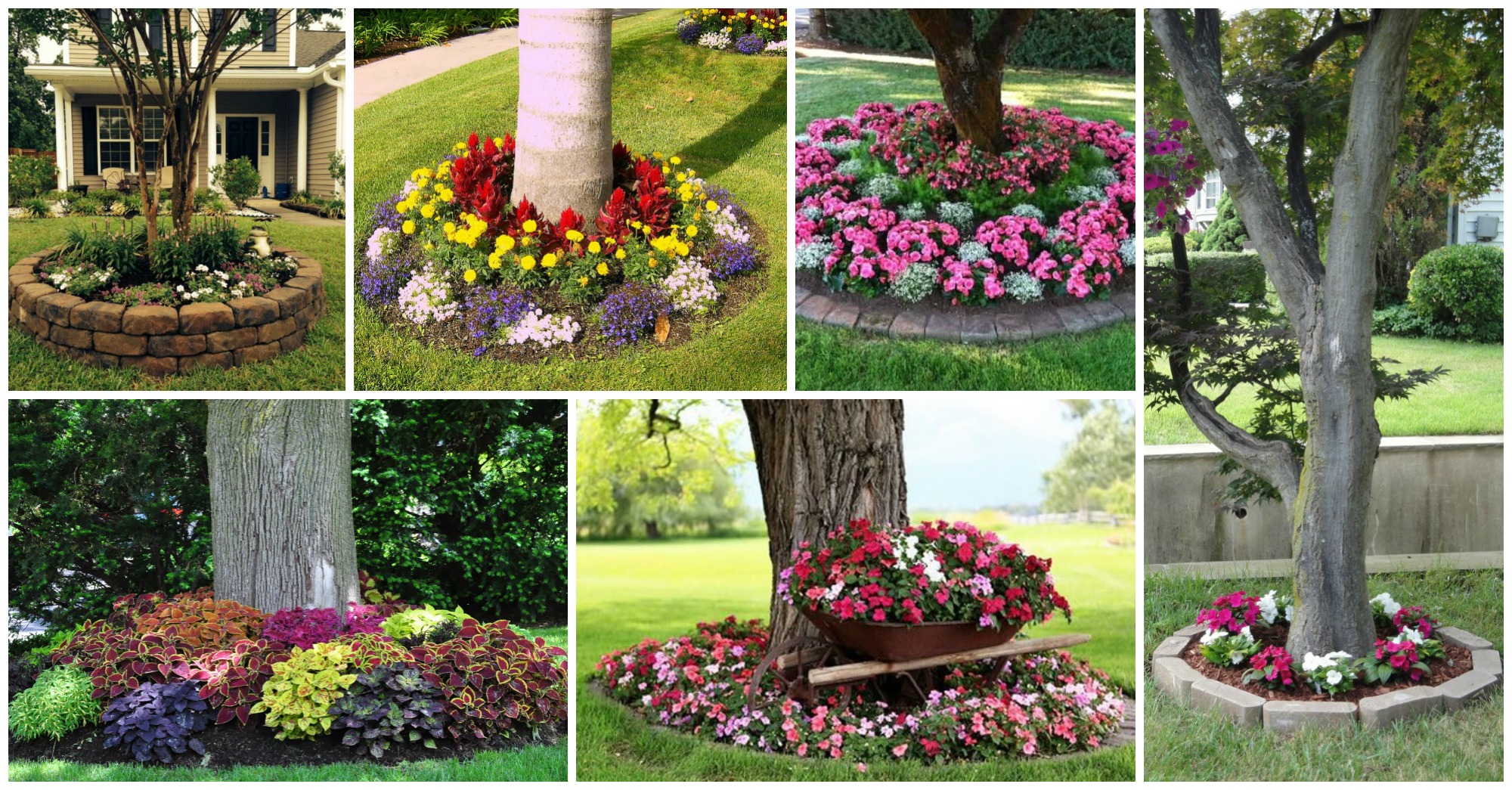 Clever Tips of How to Landscape Around Trees