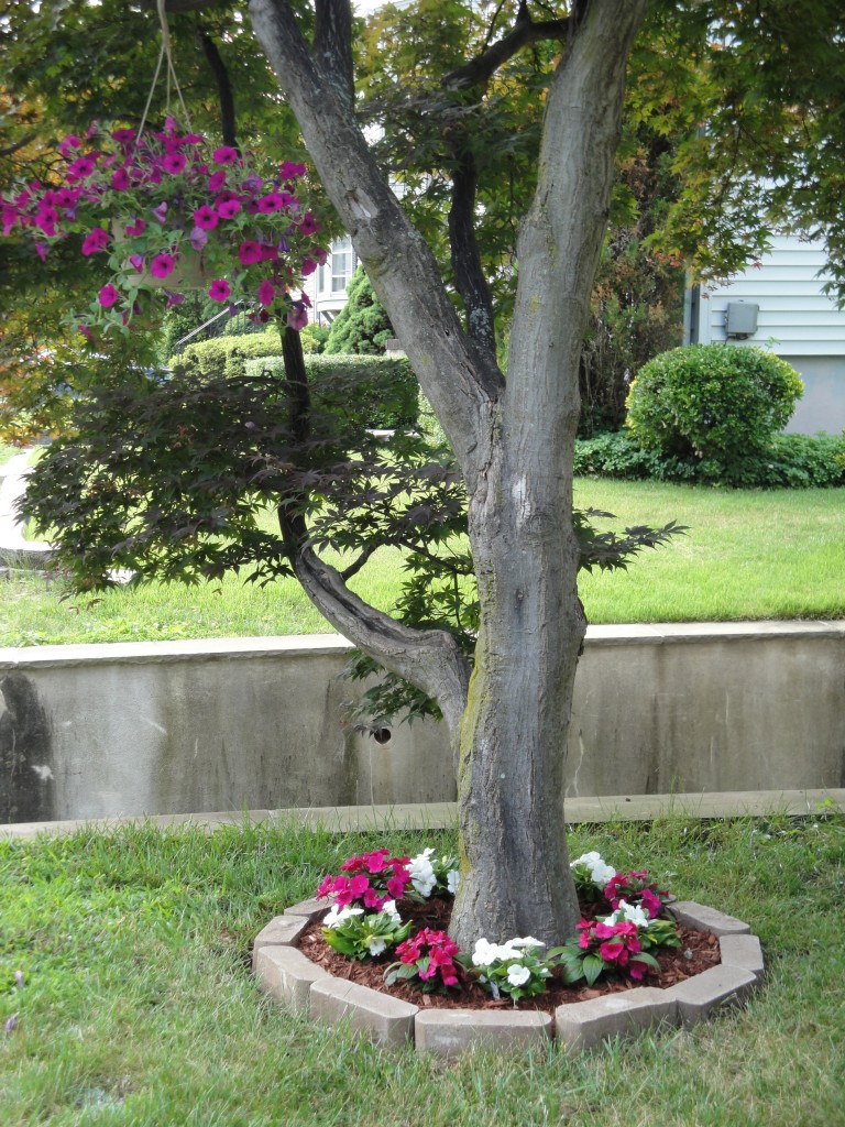 Clever Tips of How to Landscape Around Trees