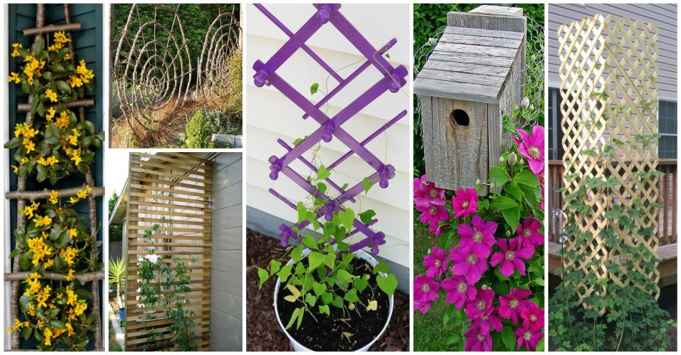30+ DIY Trellis Ideas for Your Beautiful Garden