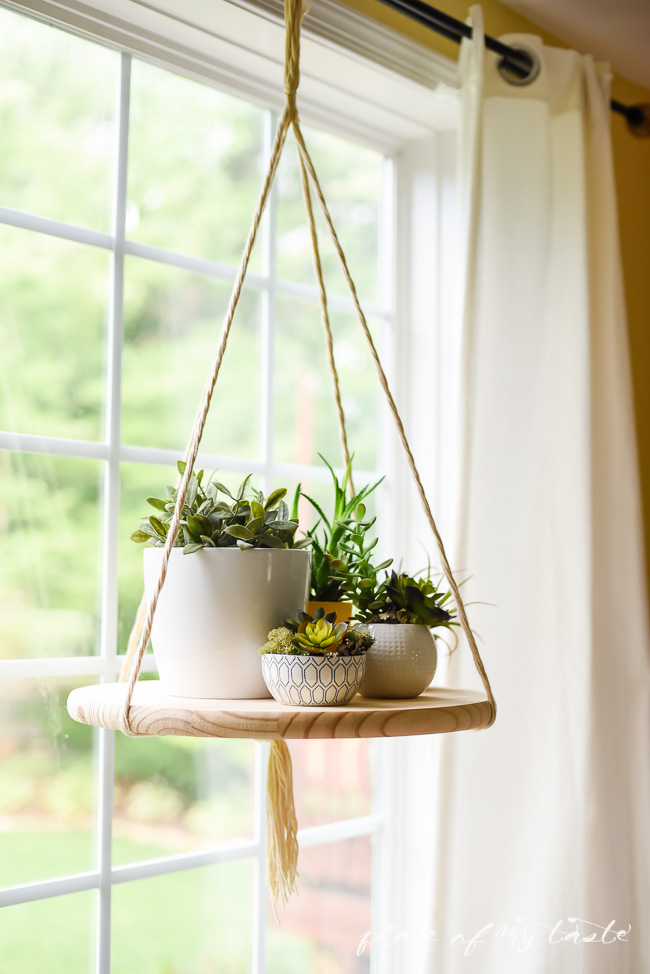 15 Small Windowsill Plants That Will Impress You