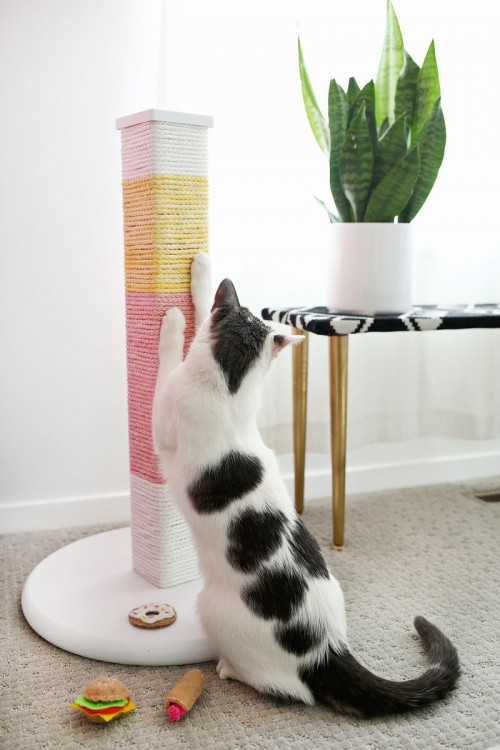 trendy-diy-color-blocked-cat-scratcher-1-500x750