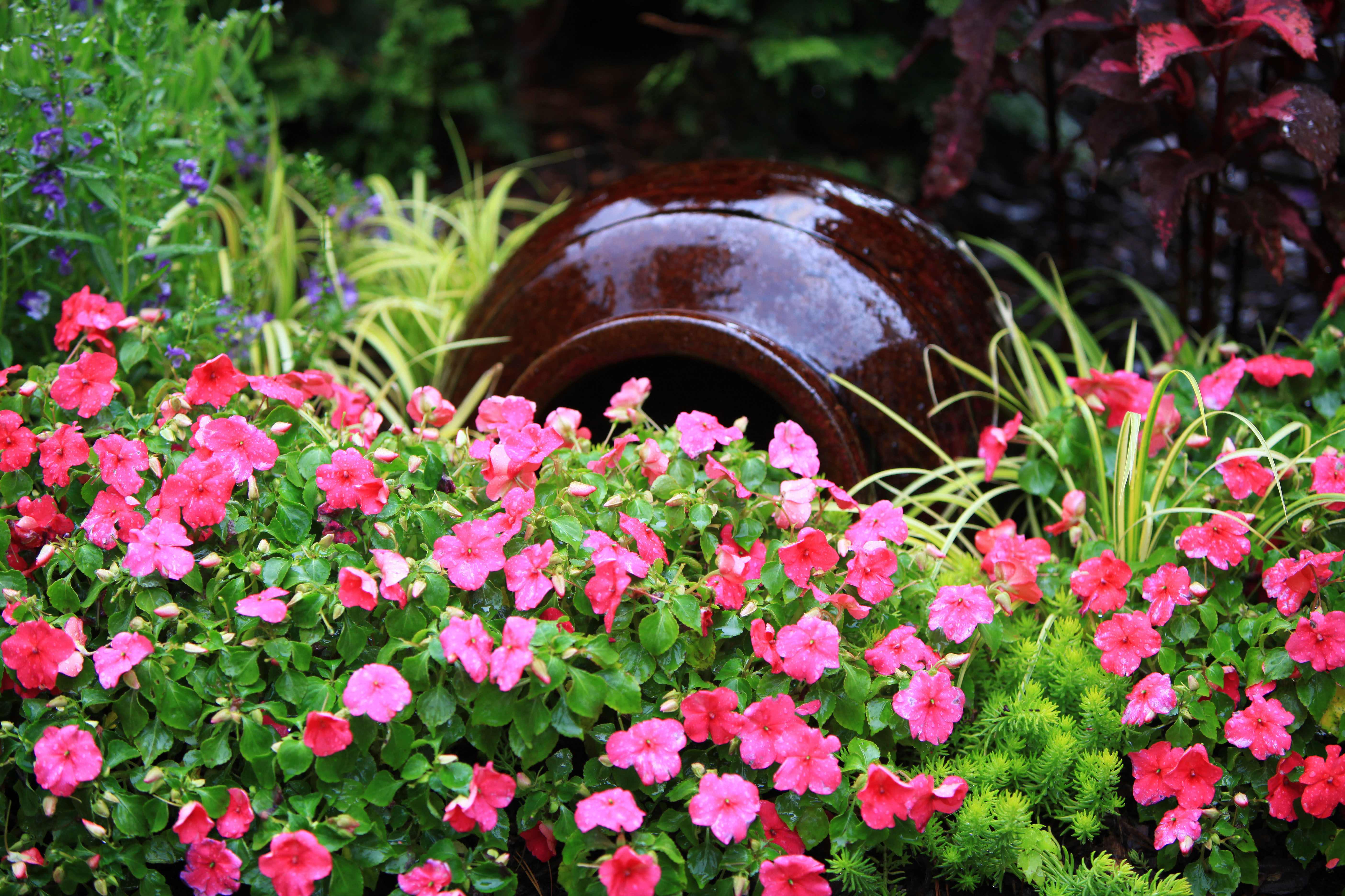 DIY Spilling Flower Pot Will Spill Joy Into Your Garden
