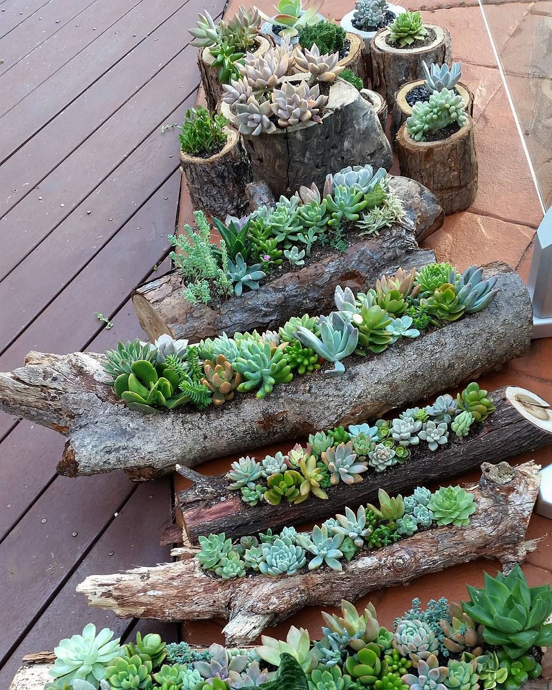 Wood&craft diy succulents