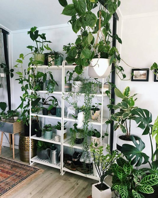 Bring The Nature Inside With Your Own Indoor Green Jungle