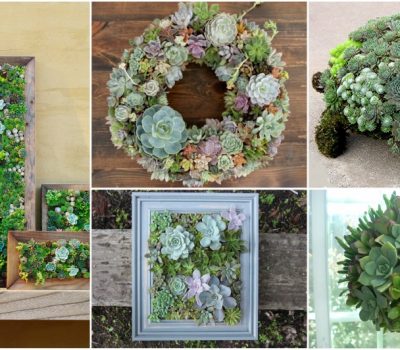 The Best DIY Decor Ideas Ever That You Can Make With Succulents