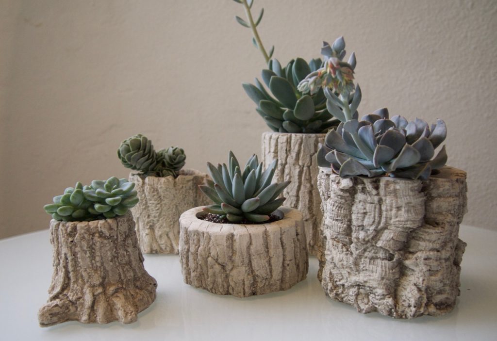 DIY Log Succulent Planter Sounds Like An Excellent Idea For Your Garden