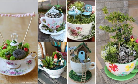 Tiny Teacup Garden Ideas That You Can Make Right Now