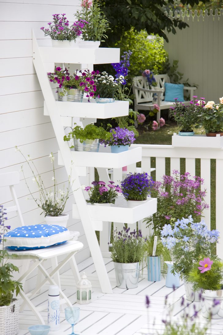 Fascinating Potted Flower Decor Ideas That Will Make Everyone Jealous