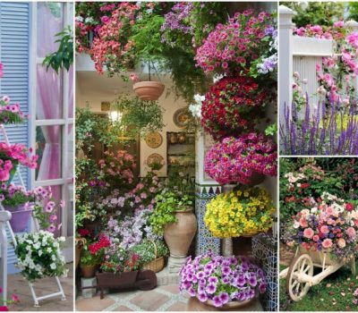 Fascinating Potted Flower Decor Ideas That Will Make Everyone Jealous