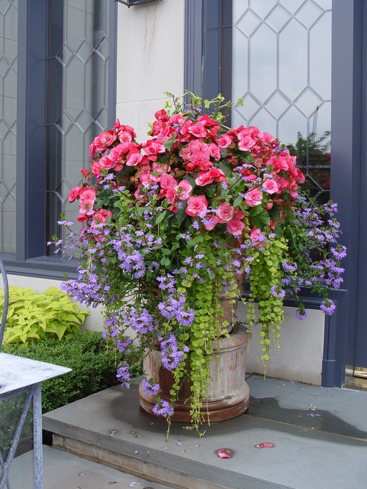 Fascinating Potted Flower Decor Ideas That Will Make Everyone Jealous