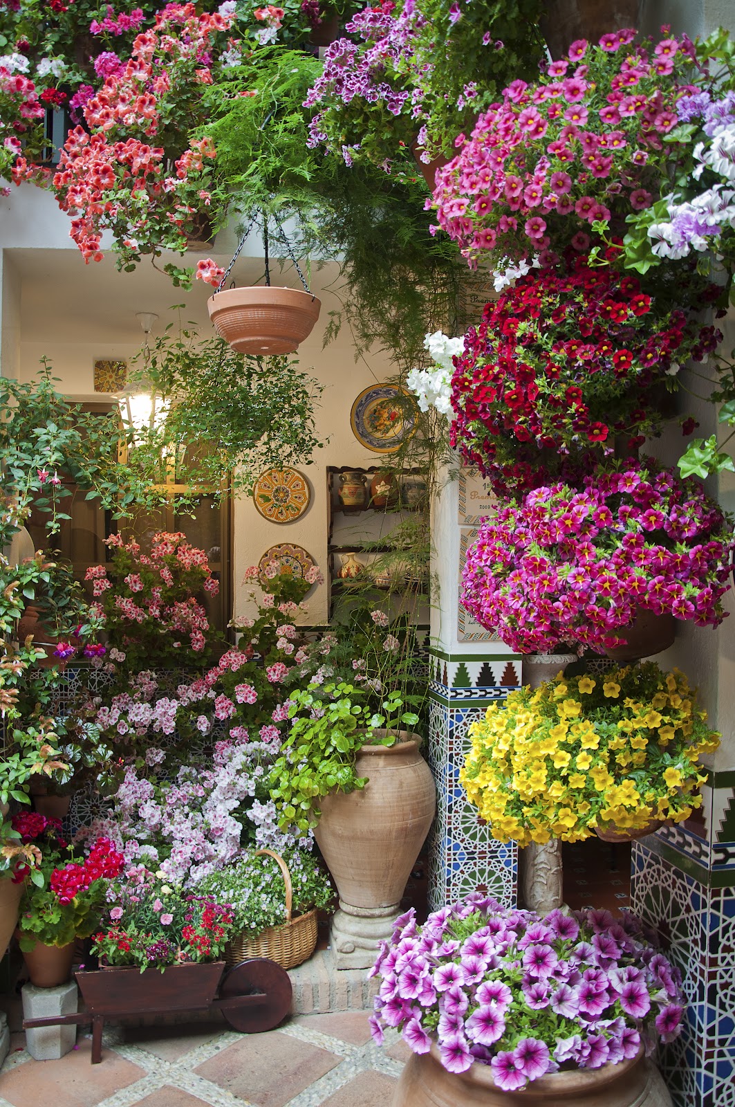 Fascinating Potted Flower Decor Ideas That Will Make Everyone Jealous