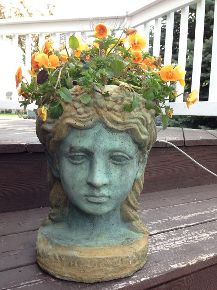 How To Make Concrete Head Planters For Your Garden Granville