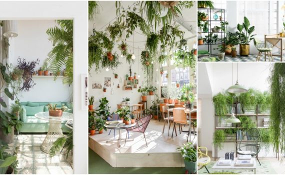 Bring The Nature Inside With Your Own Indoor Green Jungle