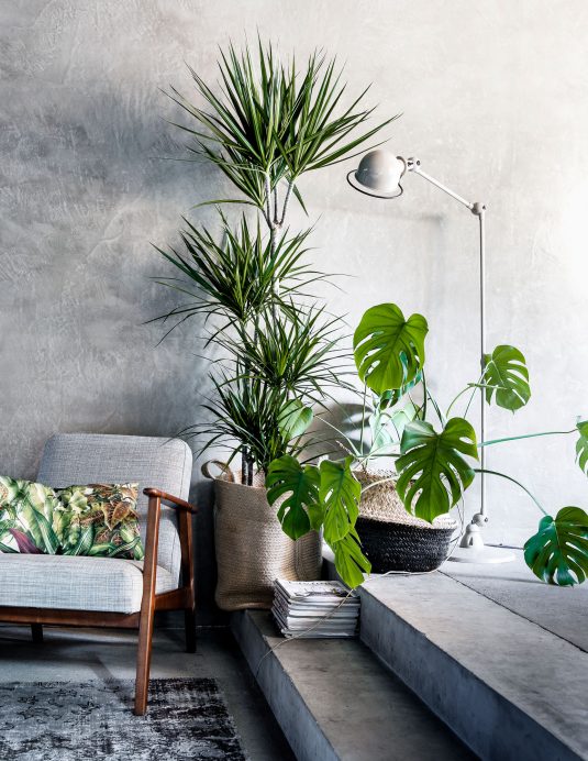 See Why Botanic Style Is The Ultimate Interior Design Hit For 2017