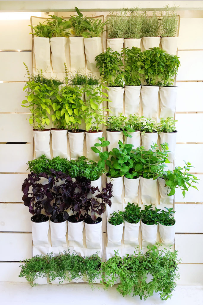 Top 10 DIY Vertical Garden Ideas That You Will Find Helpful