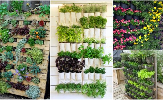 Vertical Garden Ideas Diy 10 diy vertical garden ideas that you will find helpful Vertical Garden Ideas Diy 10 diy vertical garden ideas that you will find helpful