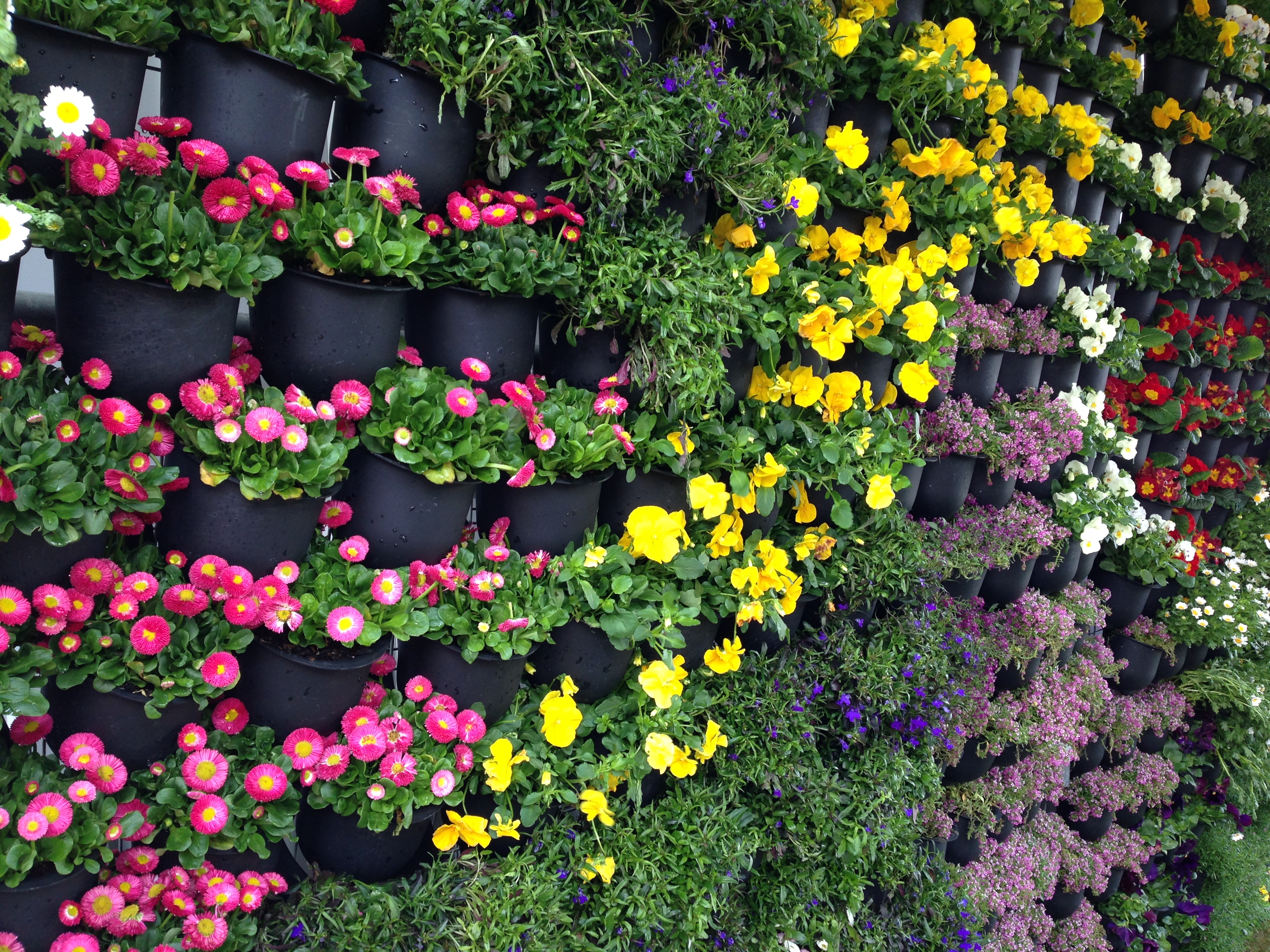 Top Diy Vertical Garden Ideas That You Will Find Helpful