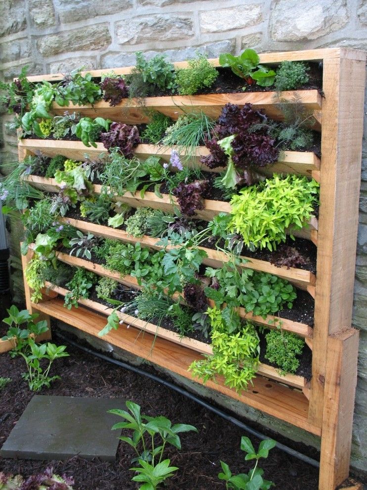 Top 10 DIY Vertical Garden Ideas That You Will Find Helpful