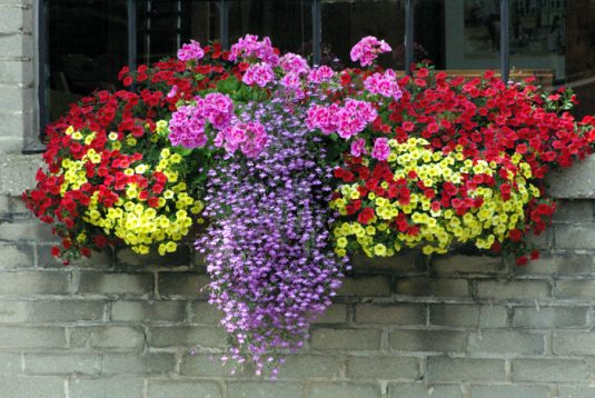 Window Flower Box Ideas That Will Inspire You To Make Your Own